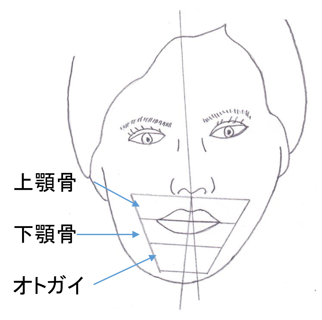 顎変形症 輪郭形成 所沢市の歯科口腔外科 武藤歯科口腔外科クリニック